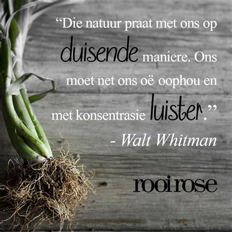 Rooi Rose Inspirasie Inspirerende Woorde Afrikaans Quotes