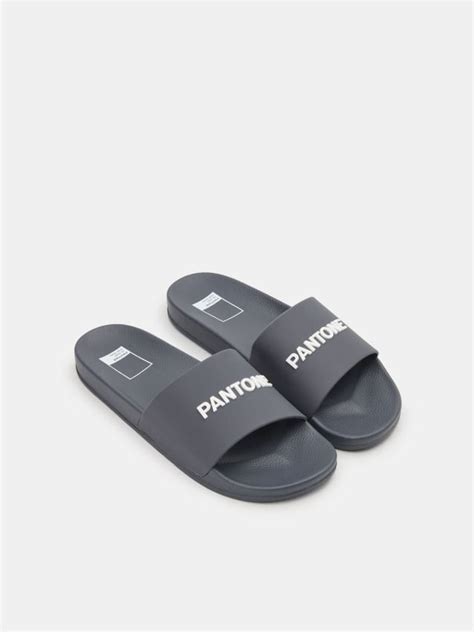 Pantone Sliders Color Anthracite Sinsay Y X