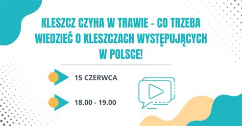 Kleszcz Czyha W Trawie Co Trzeba Wiedzie O Kleszczach Wyst Puj Cych