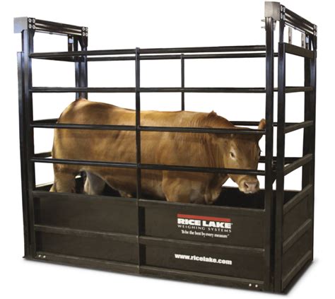 Livestock Scales Scale Solutions Inc