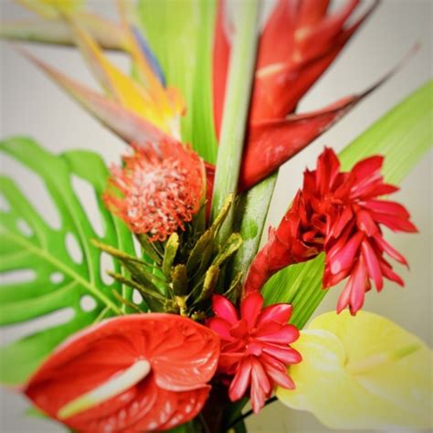 018-3 Quick Purchase Exotic Flowers Bouquet - UTOPIA Fleuriste