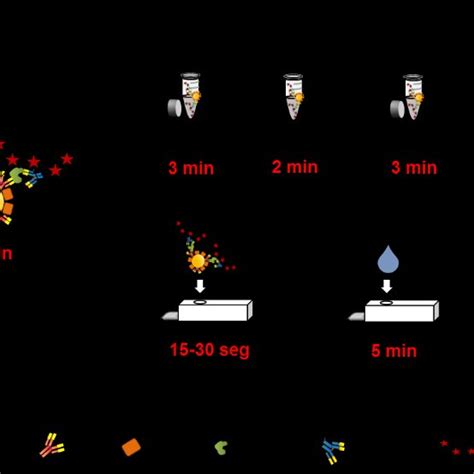 Different Formats Of The Single Step Magneto Immunoassay A