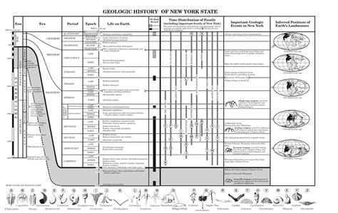 Geologic History Reference Table Worksheet