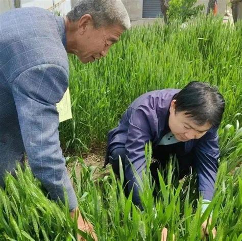 【市县亮点】今日关注西安、宝鸡、延安、汉中、安康、商洛、韩城农业农村发展中心