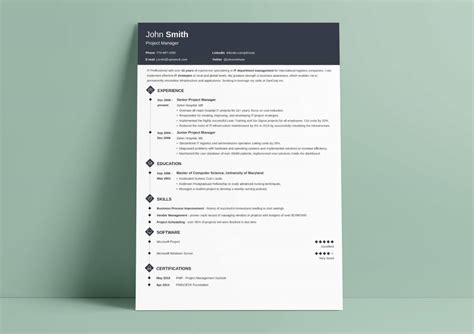 Cv Design Best Curriculum Vitae Designs For