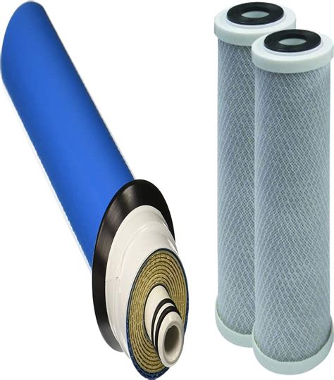 Cfs Complete Filtration Services 1 Year Replacement Filter Kit With Membrane For