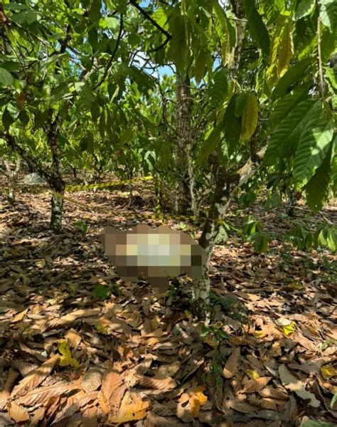 Corpo de mulher é encontrado marcas de tiros na área rural de