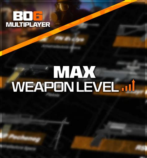 Buy Cod Bo Max Weapon Level Boost Damnmodz