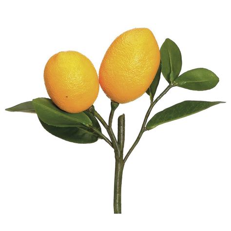 Large Artificial Lemons | Artificial lemon, Artificial fruit ...