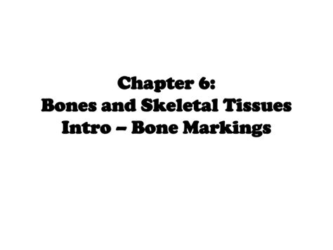 Chapter 6 Bones And Skeletal Tissues