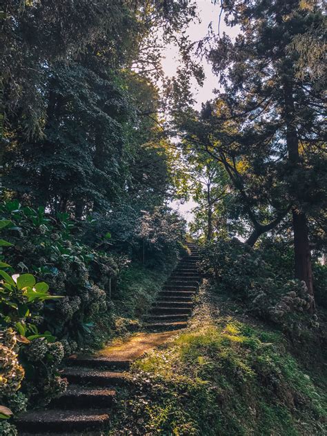 Batumi Botanical Garden: Everything You Need to Know