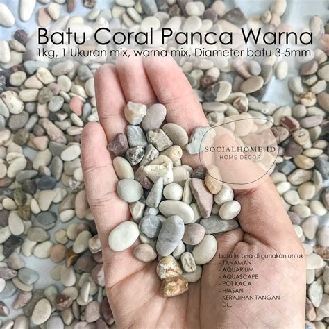 Jual Batu Koral Coral Panca Warna Pancawarna Kerikil Hias Taman