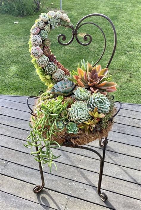 Pin By Karen Keimig Warner On Cactus And Succulants Succulent Garden