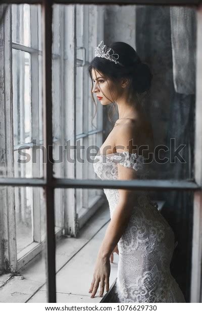 Sexy Beautiful Brunette Model Girl Lace Stock Photo