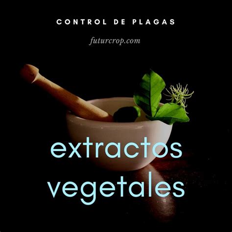 Control De Plagas Mediante Extractos Vegetales Futurcrop