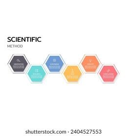 Science Diagram Show Step Scientific Process Stock Vector (Royalty Free ...