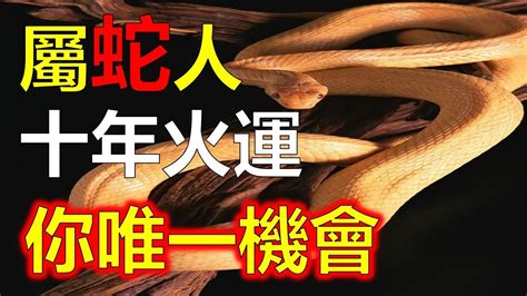 預測2024生肖運勢，十二生肖屬蛇人在今年得到命中的十年大運，只要抓住它，這十年大運，會助你一飛沖天，屬蛇人，你們即將迎來命中大運，屬蛇人要