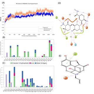 Molecular Dynamics Simulation Profile For Ns A A Root Mean