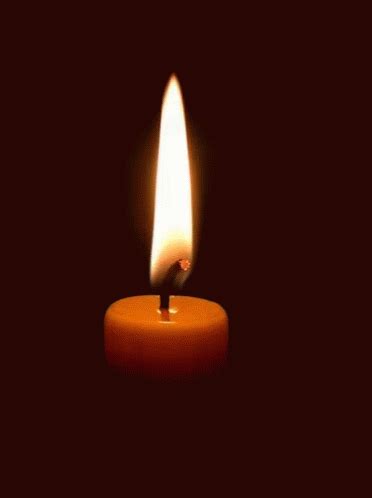 Candle Light GIF - Candle Light Flame - Discover & Share GIFs