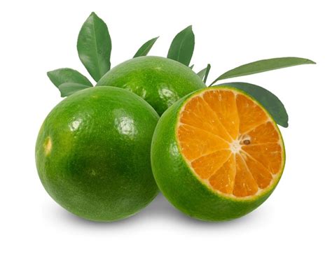 thousand calamansi royalty  images stock  pictures