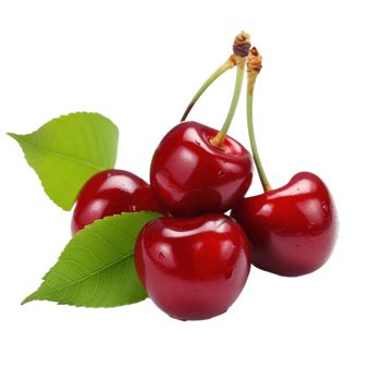 cherry red illustration cherry leaf red png transparent image