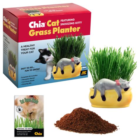 Snoozing Kitty Chia® Cat Grass Planter