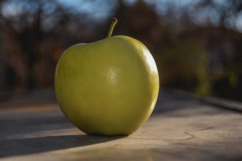 Apple Still Life Free Stock Photo - Public Domain Pictures