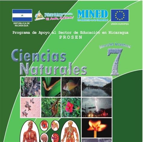 Libro Ciencias Naturales Sexto Grado Contestado Estudiar