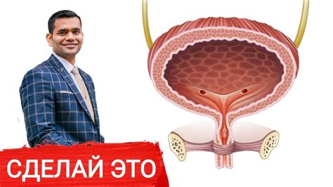 Лучшее Лекарство Для Мочевого Пузыря, Которое Я Знаю. - YouTube