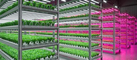 Benefits Of Vertical Farming Radicle Roots