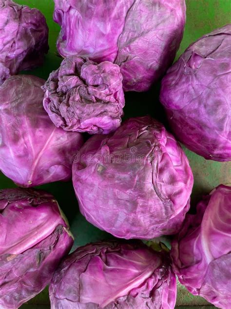 A Fresh Purple Cabbages On Market Stall Stock Image Image Of