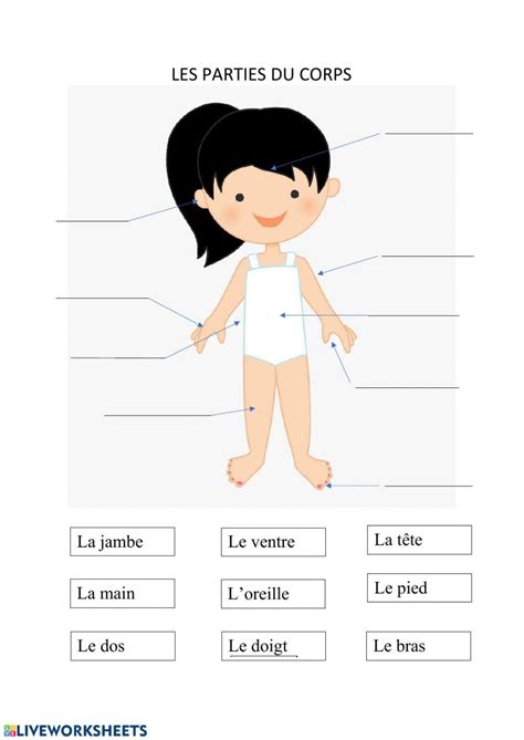 Les Parties Du Corps Activity For 4º 6º De Primaria Live Worksheets