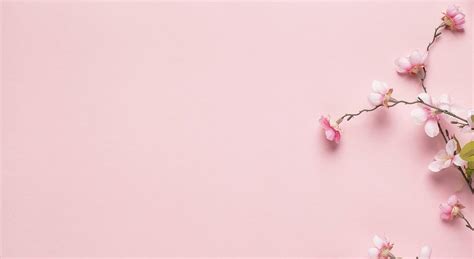 Amazon Male Sex Toys Vibrating Sex Dolls 4 32lbs Realistic Pussy Ass Sex Toys For Men