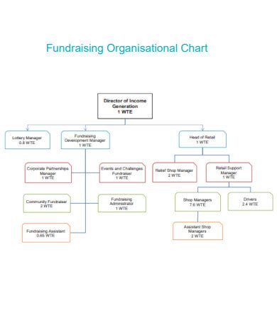 FREE 10+ Hierarchy Chart Samples in PDF