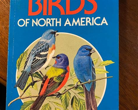 A Guide To Field Identification Birds Of North America Robbins Bruun