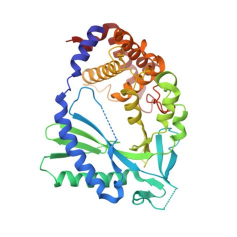 Rcsb Pdb Ftk Crystal Structure Of Apo Human Cyclic Gmp Synthase