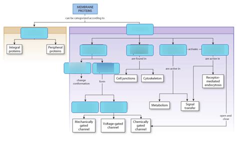 Art Labeling Activity Figure 5 8 Map Of Membrane Proteins Diagram