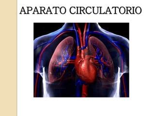 Aparato Circulatorio PPT Descarga Gratuita