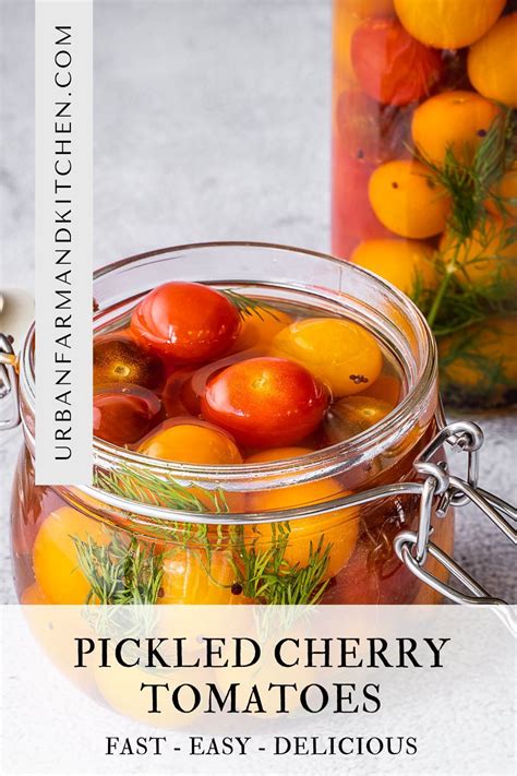 Pickled Cherry Tomatoes Cherry Tomato Recipes Pickled Cherry