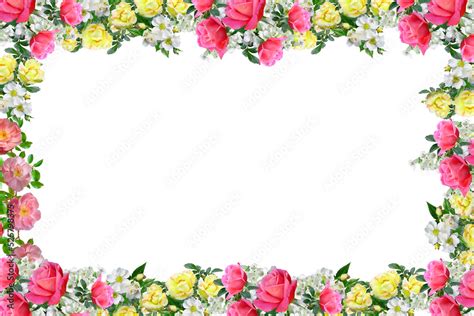 Fotka „Flower border Frame Background, Flower Background, Floral Frame ...