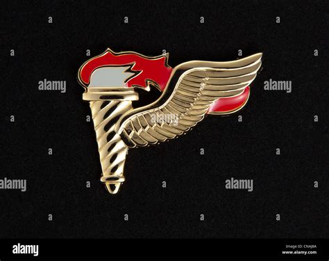 US Army Pathfinder badge Stock Photo, Royalty Free Image: 47562378 - Alamy