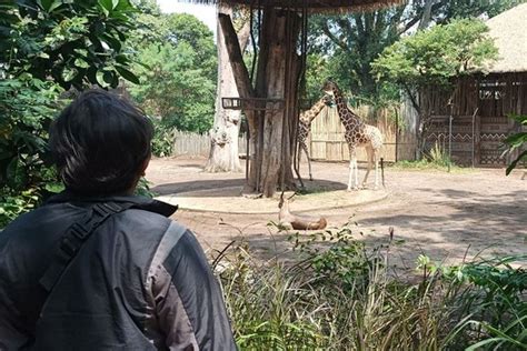 Kebun Binatang Bandung Tampak Baik Baik Saja Saat Ada Isu Penyegelan