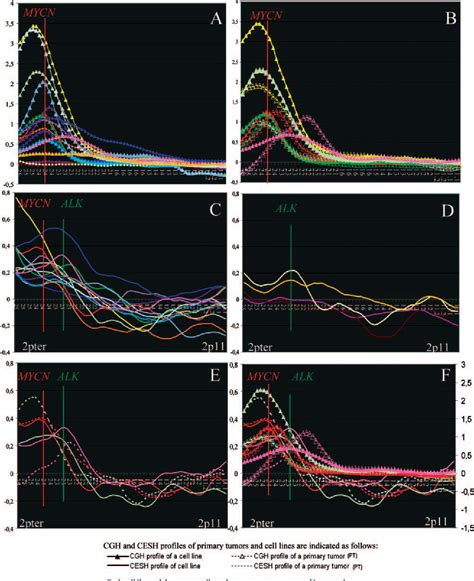 Figure 4 From Tumorigenesis And Neoplastic Progression Genes Proximal