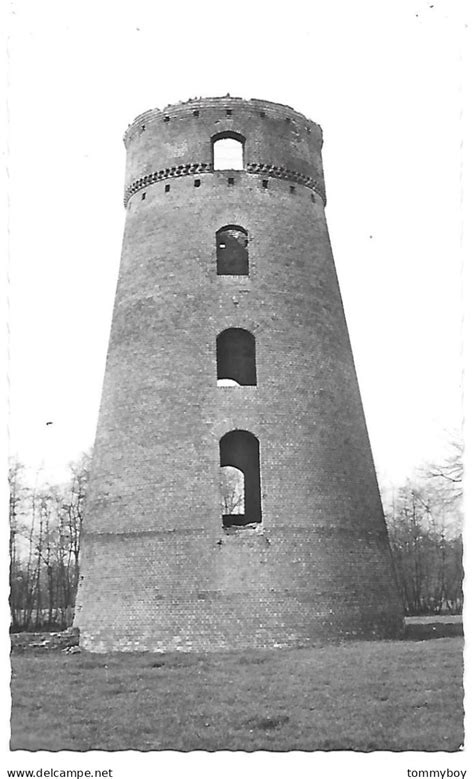 Putte CPA Putte Stenen Molen