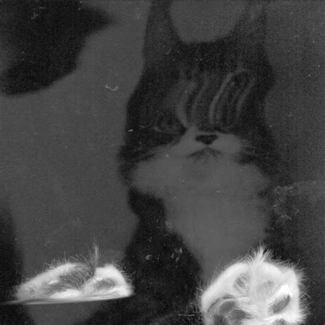 Stream The Fuck By Savoir Frostie Listen Online For Free On SoundCloud