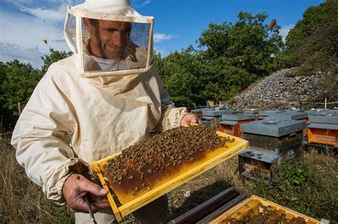 Инвентарь пчеловода и пасечные приспособления: обзор, список необходимого