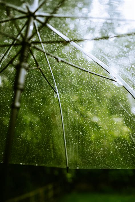 British Umbrella Brands: The Best Luxury Umbrellas For 2025