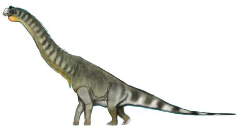 Malagasy Dwarf Titanosaur Sciifii Wiki Fandom