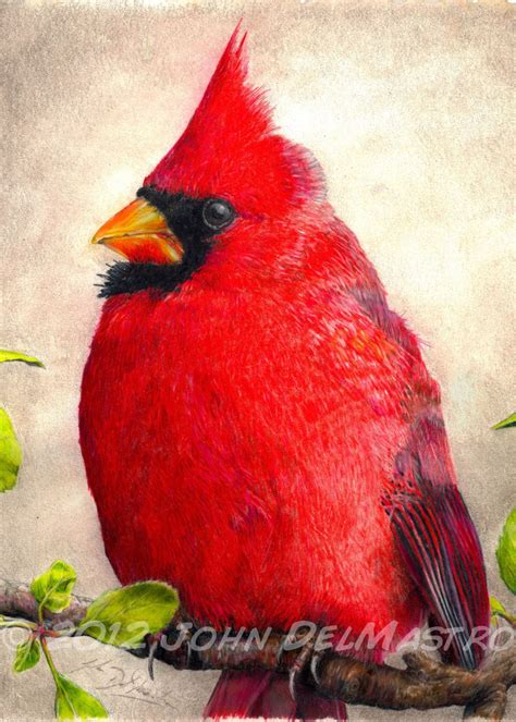 Fine Art Colored Pencil Drawings ACEO ATC Size Print Color Pencil