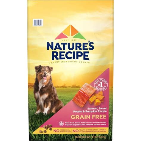 Nature's Recipe Grain Free Salmon, Sweet Potato & Pumpkin Dry Dog Food ...